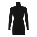 Prettyswomen High Neck Long Sleeve Hip Dress