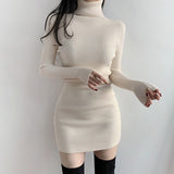 Prettyswomen High Neck Long Sleeve Hip Dress