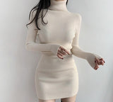 Prettyswomen High Neck Long Sleeve Hip Dress