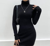 Prettyswomen High Neck Long Sleeve Hip Dress